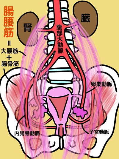 2：子宮卵巣への血流を上げる